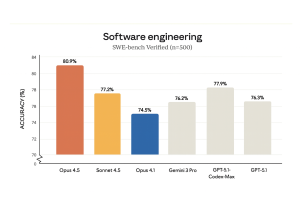 דיוק מודלים בהנדסת תוכנה